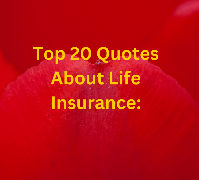 Top 20 Quotes About Life Insurance